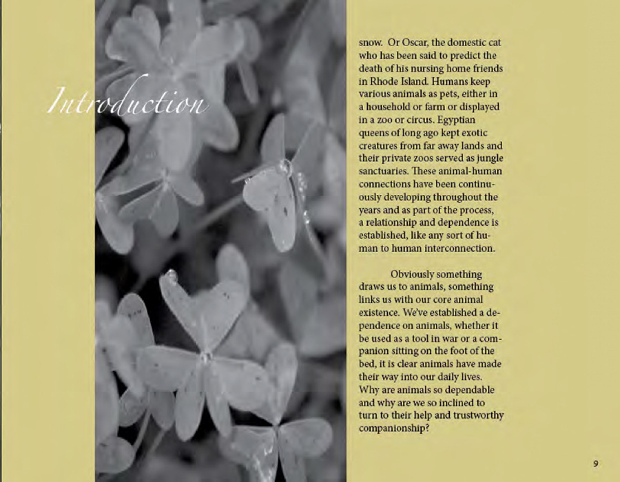 Book by Catherine Halliday